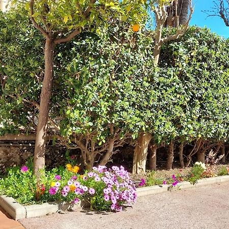 Rez-De-Chaussee Privatif Spacieux 3* D'Une Villa Centre Ville Hyères Zewnętrze zdjęcie